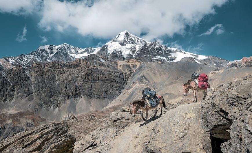 Embracing the Unknown: A Solo Traveler’s Guide to Finding Courage in Adventure