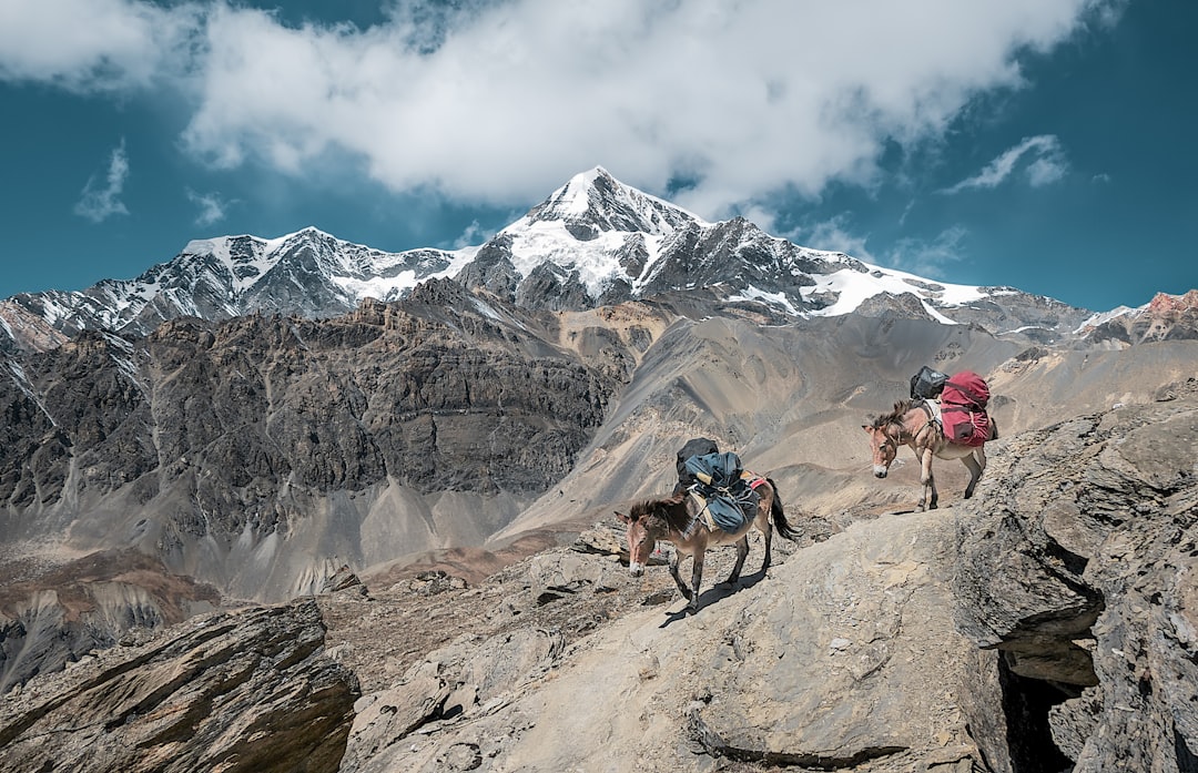 Embracing the Unknown: A Solo Traveler’s Guide to Finding Courage in Adventure